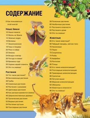 Энциклопедия необходимых знаний фото книги 4