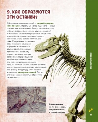 Динозавры фото книги 12