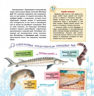 Динозавры фото книги 9