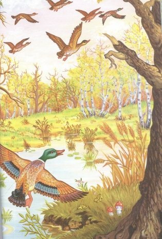 Лучшие сказки фото книги 4