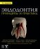 Эндодонтия. Принципы и практика. 6-е изд фото книги маленькое 2