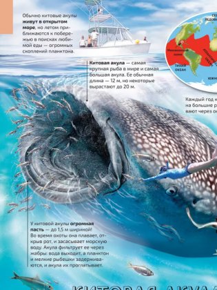 Моря и океаны. Иллюстрированный атлас фото книги 5