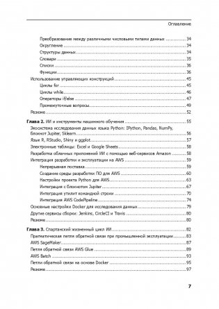 Прагматичный ИИ. Машинное обучение и облачные технологии фото книги 12