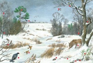 Времена года. Иллюстрированная энциклопедия фото книги 6