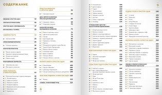 Эклеры. 20 лет эволюции (кожаный футляр) фото книги 4