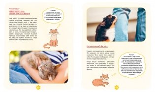 Я и моя кошка. Как понять питомца и стать ему другом фото книги 6