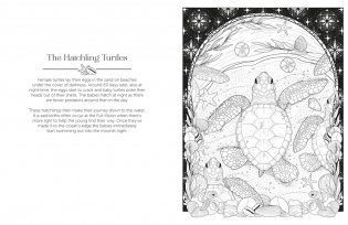 Luna Colouring : Embrace the Magic of the Moon фото книги 4