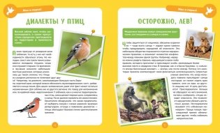 Невероятные животные фото книги 3