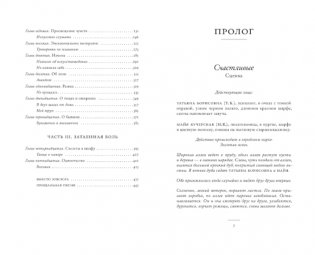 "Сглотнула рыба их..." Беседы о счастье фото книги 5