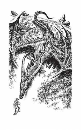 Дом Ворона фото книги 2