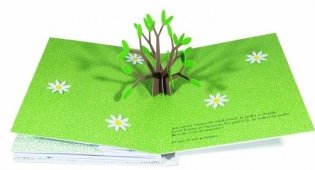 Орешек фото книги 6