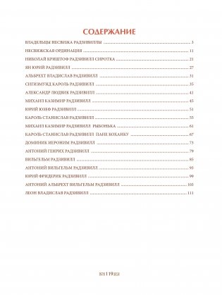 Владельцы Несвижа Радзивиллы фото книги 12