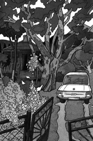 Брат мой Бзоу фото книги 6