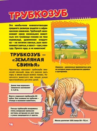 Моя первая большая книга о животных фото книги 2