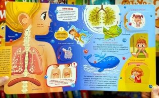 Анатомия. Умные окошки фото книги 2