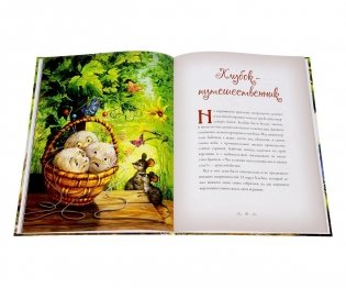 Как ботинки поссорились фото книги 2