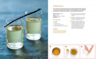 Домашние напитки. Для праздников и на каждый день фото книги 6