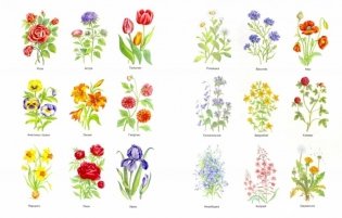 Растения: деревья, кустарники, травы фото книги 5