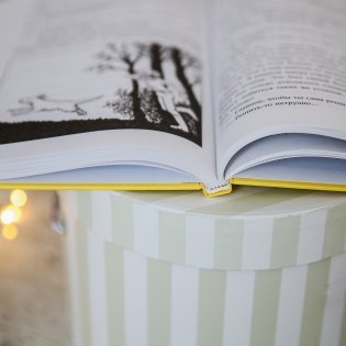 Пес по имени Мани фото книги 3