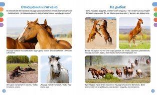 Лошади фото книги 4