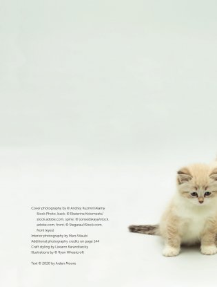 Кошки. Полное руководство для детей фото книги 3