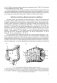 Основы колопроктологии фото книги маленькое 11