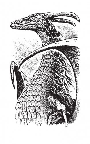 Тень драконьего крыла фото книги 3