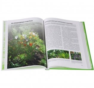 Большая книга цветовода фото книги 2