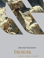 Гилель. Если не сейчас, то когда? фото книги