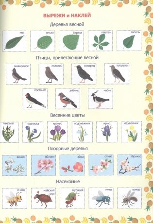 Мой дневник наблюдения за природой. С наклейками фото книги 3