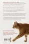 The World According to Bob. The Further Adventures of One Man and His Street-wise Cat фото книги маленькое 3