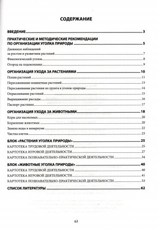 Примерное планирование нерегламентированной деятельности с воспитанниками в уголке природы. Образовательные области "Ребенок и природа", "Ребенок и общество". Старшая группа 5-7 лет фото книги 2