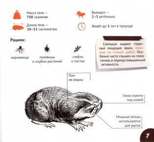 Подземные обитатели фото книги 8