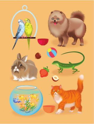 Первая книга о животных фото книги 6