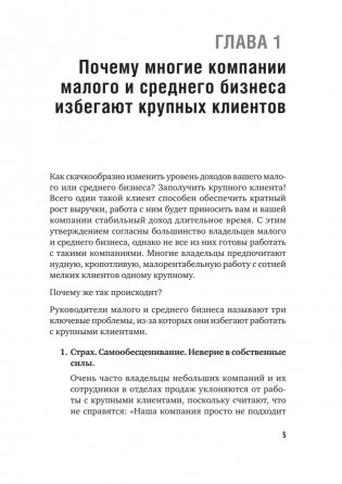 Как продавать в большие компании. Краткое руководство для малого бизнеса фото книги 4