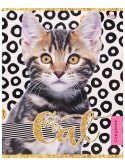 Тетрадь "Кошачье удивление", А5, 48 листов, клетка фото книги 3
