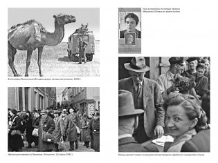 Мобилизованная нация: Германия 1939–1945 фото книги 7