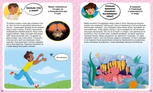 Сколько? 100 вопросов и ответов в картинках фото книги 5