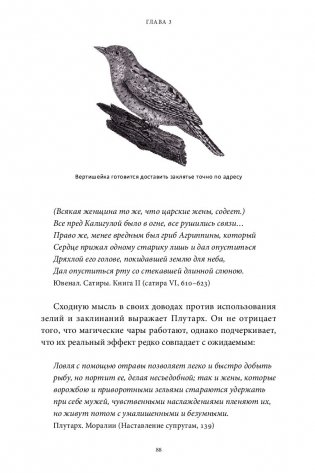 Древняя магия. От драконов и оборотней до зелий и защиты от темных сил фото книги 19