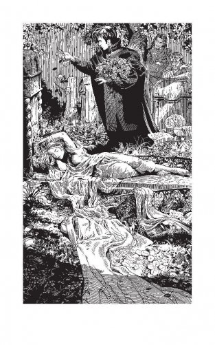 Ола и Отто. Выбор фото книги 2