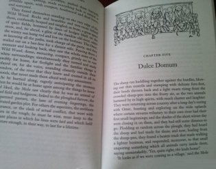 The Wind in the Willows фото книги 3