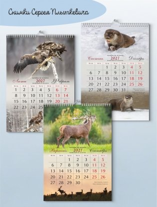 Календарь настенный 2027 "Чароўны лес Беларусі". Формат А3 фото книги 2