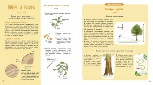 Деревья и кустарники фото книги 2