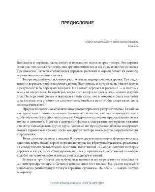 Рисовый штурм и еще 21 способ мыслить нестандартно фото книги 4