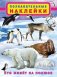 Кто живет на полюсе фото книги маленькое 2