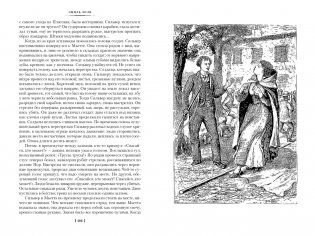 Карьера Ругонов. Его превосходительство Эжен Ругон. Добыча фото книги 7
