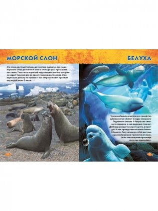 Подводный мир. Первая энциклопедия дошкольника фото книги 10