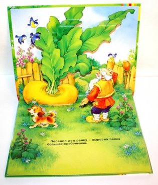 Репка. Книжка-панорамка фото книги 3