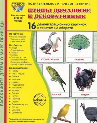 Птицы домашние и декоративные. Учебное издание. (16 демонстрационных картинок с текстом) фото книги