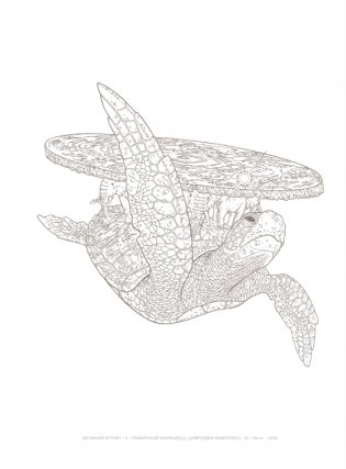 Плоский мир Терри Пратчетта. Имаджинариум фото книги 3